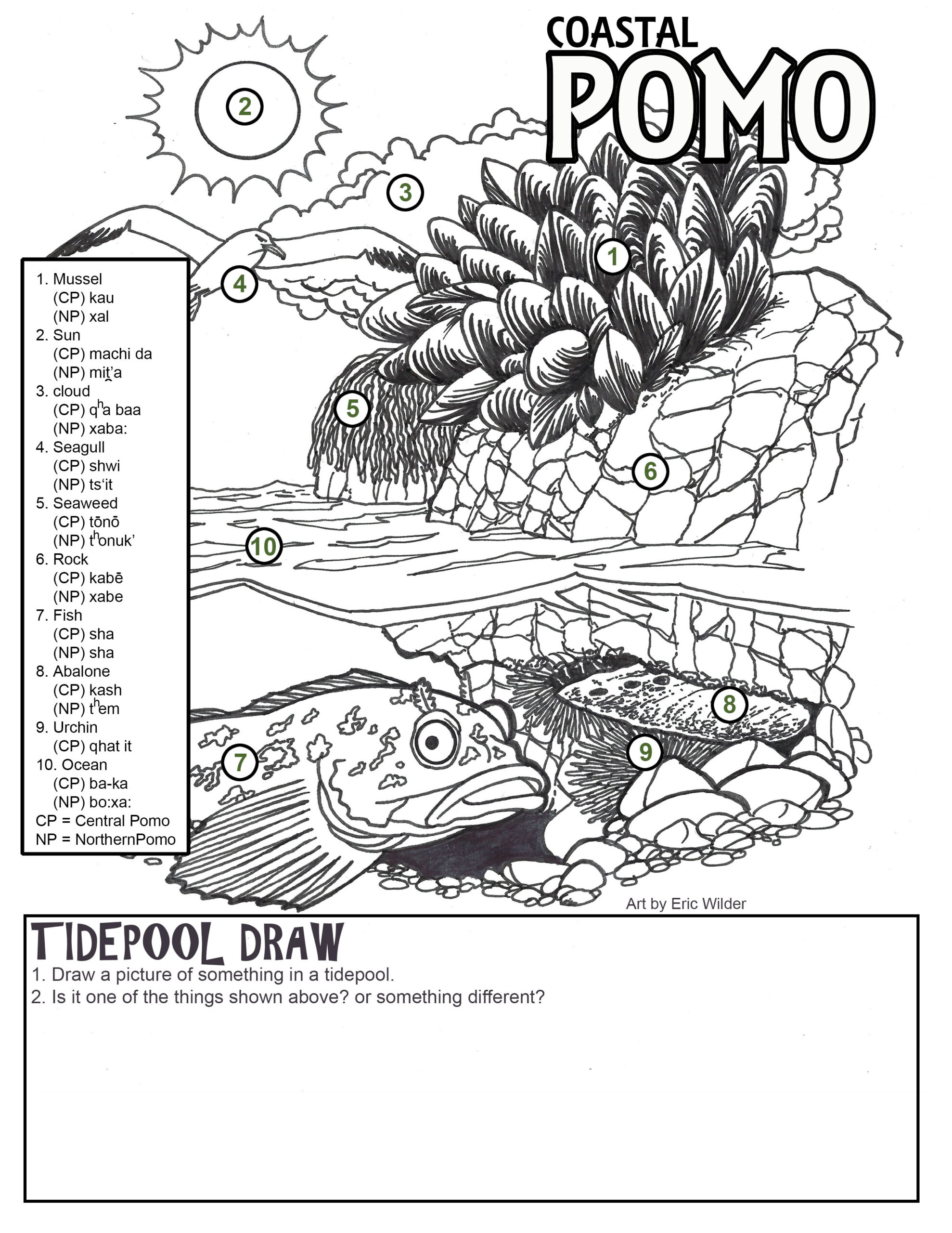Pomo activity page: This page was included in MendoParks Park Adventure Coast Kits (distributed to local families as well as available at MendoParks.org as a free PDF). The concept was contributed by Javier Silva, Sherwood Valley Band of Pomo Indians, with original artwork by Eric Wilder, Kashaya Pomo. This information was critical to include in our nature-based activity guides as it may be the only information local youth receive about local tribes that is actually written by tribal members